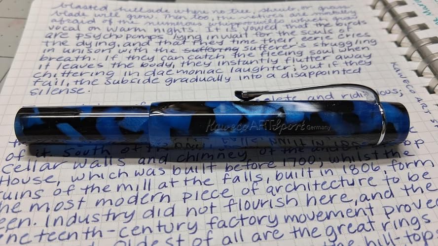 【特価セール】Kaweco カヴェコ 万年筆 M 中字 アート スポーツ ぺブル Amazon | Kaweco カヴェコ 万年筆 M 中字 アート スポーツ ぺ